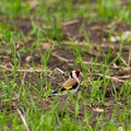IMG_1414.jpg