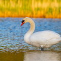IMG_2434.jpg