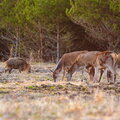 IMG_9877.jpg