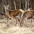 IMG_9870.jpg