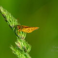 IMG_3904.jpg