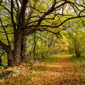 IMG_6676.jpg
