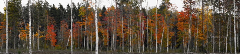 IMG_6758-Pano.jpg
