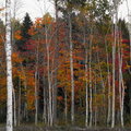 IMG_6758-Pano.jpg