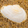 IMG_1741.jpg