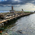 IMG_5542.jpg