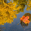 IMG_6631.jpg