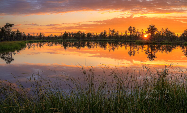 IMG_2824_5_6_tonemapped.jpg