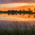 IMG_2824_5_6_tonemapped.jpg