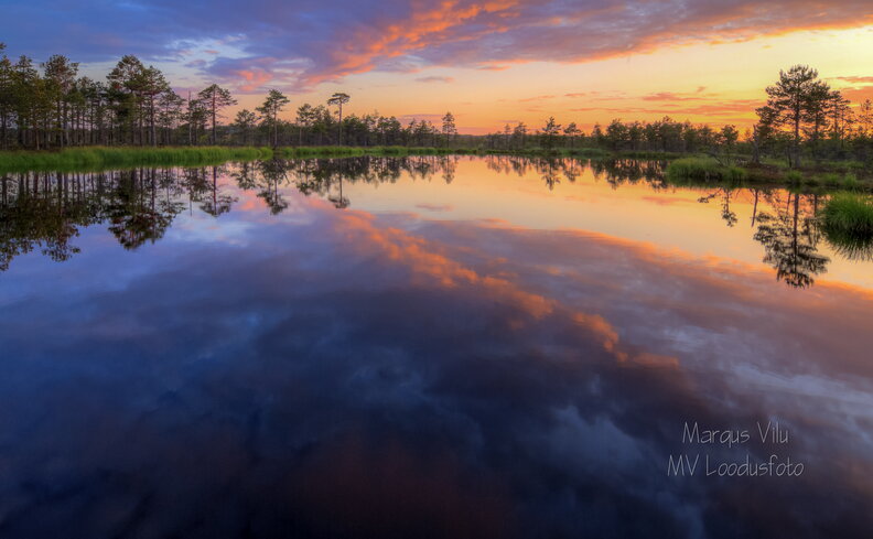 IMG_2833_4_5_tonemapped.jpg