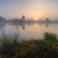 IMG_2989_90_91.jpg