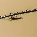 IMG_3052.jpg
