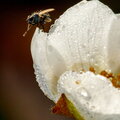 IMG_3139.jpg