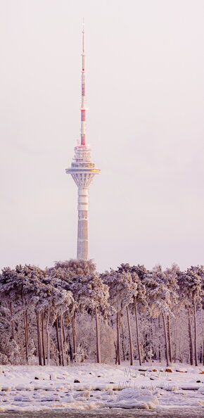 IMG_7628-Pano.jpg
