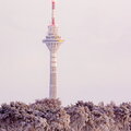 IMG_7628-Pano.jpg