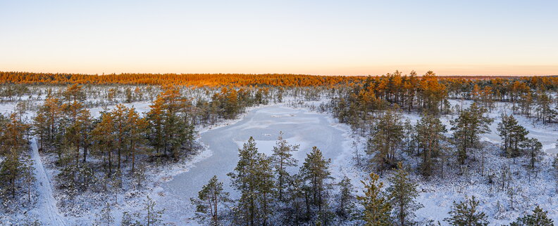 IMG_5563-Pano.jpg