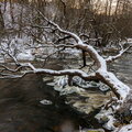 IMG_5884.jpg