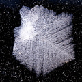 Jäälill