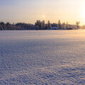 IMG_6479.jpg