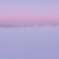 IMG_7398.jpg