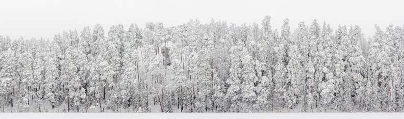 IMG_7717-Pano.jpg