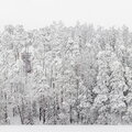 IMG_7717-Pano.jpg