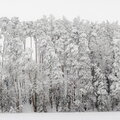 IMG_7765-Pano.jpg