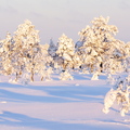 Lumest täitsa lookas
