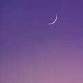 IMG_8126.jpg