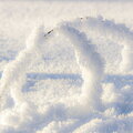 IMG_8336.jpg
