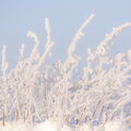 IMG_8355.jpg
