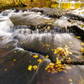 IMG_6811.jpg