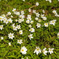IMG_0702-Pano.jpg