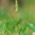 IMG_2977.jpg