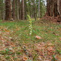 IMG_2997.jpg