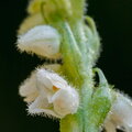 IMG_3024.jpg